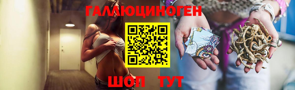 Гулькевичи  Галлюциногенные грибы Psilocybe  цена   Вход с VPN 